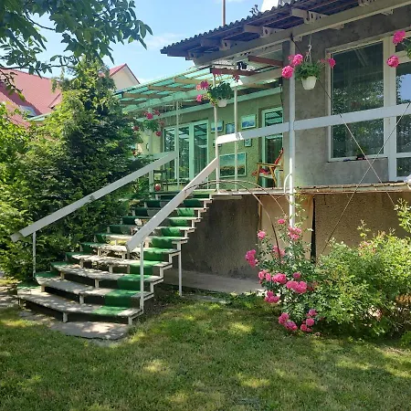 зелена -басейн,тераса, квіти, сад